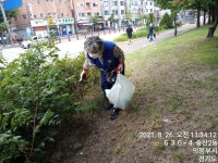 생활대청소및잡초뽑기 - 송산 2동 위원회 - 바르게살기운동 의정부시협의회 생활대청소및잡초뽑기