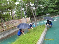 송산2동주변도로잡초뽑기 - 송산 2동 위원회 - 바르게살기운동 의정부시협의회 송산2동주변도로잡초뽑기