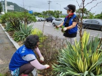 제초작업(화단풀뽑기) - 송산 1동 위원회 - 바르게살기운동 의정부시협의회 제초작업(화단풀뽑기)