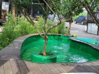 스토리텔링 현장이 된 강릉 해품달 펜션 축하 공연 색소폰 2 - 스토리텔링 주인석 - 출판인쇄전용건물 센터플러스 빌딩 해드림출판사 스토리텔링... 