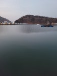 대부도바다낚시터 2022년 노지 전경 - 노지조황 - 대부도바다낚시터 대부도바다낚시터 2022년 노지 전경
