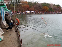 대부도바다낚시터 2025년 11월 23일 일요일 우럭 참돔 농어등 조황... 대부도바다낚시터 대부도바다낚시터 2025년 11월 23일 일요일 우럭... 