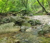 ＜ 2022년 8월 21일 ＞ 제778차 도장산(道藏山) - 쌍용계곡 (경북 상주-문경) - ▒ 산 행 신 청 ▒ - 춘천푸른산악회 ＜ 2022년 8월 21일... 