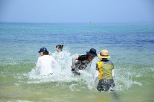 ＜ 2022년 8월 14일＞ 제777차 해파랑길 49코스 거진항-화진포해변 (강원 고성) - ▒ 산 행 신 청 ▒ - 춘천푸른산악회 ＜ 2022년 8월 14일... 