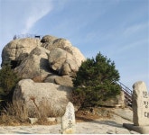 ＜ 2022년 9월 25일 ＞ 제782차 속리산-법주사-오리숲길 100대명산 (충북 보은) - ▒ 산 행 신 청 ▒ - 춘천푸른산악회 ＜ 2022년 9월 25일... 