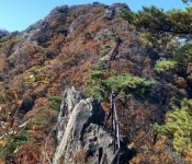 ＜ 2022년 10월 16일 ＞ 제785차 계룡산 - 갑사계곡단풍 (충남 공주) - ▒ 산 행 신 청 ▒ - 춘천푸른산악회 ＜ 2022년 10월 16일 ＞ 제785차... 