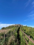 ＜2023.09.10＞ 제831차 지리산 서북능선-바래봉 (전북 남원) - ▒ 산 행 신 청 ▒ - 춘천푸른산악회 ＜2023.09.10＞ 제831차 지리산... 