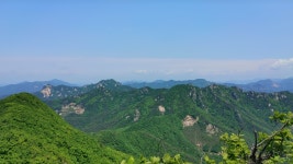 청화산~조항산~대야산 [6,7] - ▒ 산 행 신 청 ▒ - 춘천푸른산악회 청화산~조항산~대야산 [6,7]
