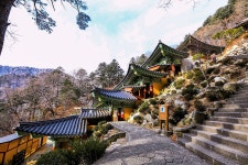 제834차 오대산(상왕봉) 강원 평창 - ▒ 산 행 신 청 ▒ - 춘천푸른산악회 ＜2023.10.01＞ 정기산행안내. 제834차 오대산(상왕봉) 강원... 