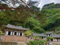 ＜ 2022년 9월 4일 ＞ 제780차 청량산 100대 명산 (경북 봉화) - ▒ 산 행 신 청 ▒ - 춘천푸른산악회 ＜ 2022년 9월 4일 ＞ 제780차... 