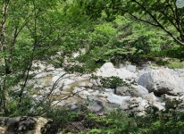 ＜ 2022년 8월 21일 ＞ 제778차 도장산(道藏山) - 쌍용계곡 (경북 상주-문경) - ▒ 산 행 신 청 ▒ - 춘천푸른산악회 ＜ 2022년 8월 21일... 