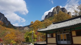 (경북 청송) - ▒ 산 행 신 청 ▒ - 춘천푸른산악회 ＜ 2022년 10월 23일 ＞ 제786차 주왕산 -장군봉-용추협곡 / 주산지 (경북 청송)