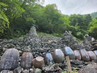 항골숨바우길[8,17] - ▒ 산 행 신 청 ▒ - 춘천푸른산악회 항골숨바우길[8,17]