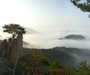 05＞ 제804차 금수산 (충북 제천-단양) + 심폐소생술 응급훈련시연... 03. 05＞ 제804차 금수산 (충북 제천-단양) + 심폐소생술 응급훈련시연