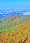2026년5월3일 강서염창산악회 충남 예산 가야산 옥계저수지 둘레길 - ☞ 산행 일정표(월별) - 강서염창산악회 2026년5월3일 강서염창산악회... 