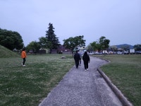 2025년5월8일 - ………― 사진속이야기 - 황남초등학교37회 2025년5월8일