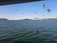 선유도 유람선 - 동창회 사진구경 - 진서중31회동창회 선유도 유람선