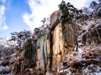 아트벨리 - 장선덕님 방 - 사진바라기 아트벨리