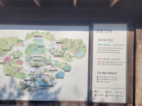 화담숲 가을소풍을 다녀와서~~ - ◆ 모임후기 - 경북여고 49회 재경동기회 경북여고 49회 재경동기회