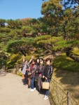 화담숲 가을소풍을 다녀와서~~ - ◆ 모임후기 - 경북여고 49회 재경동기회 경북여고 49회 재경동기회