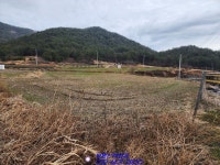 전남 축사 매매 사육소도 함께 드린답니다~ - 기타부동산 - 부동산 백화점 전남 축사 매매 사육소도 함께 드린답니다~