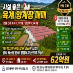전남 양계장매매 시설 좋답니다~(매물번호 2991) - 기타부동산 - 부동산 백화점 전남 양계장매매 시설 좋답니다~(매물번호 2991)