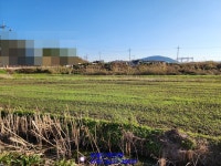 목포 고하도땅매매 대로변에 있답니다~(매물번호 2255) - 목포 - 부동산 백화점 목포 고하도땅매매 대로변에 있답니다~(매물번호 2255)