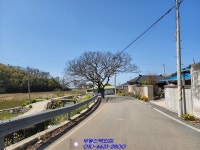 해남땅이 오시아노리조트호텔 인근에 있답니다~ - 해남 - 부동산 백화점 해남땅이 오시아노리조트호텔 인근에 있답니다~