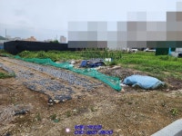 영암 삼호읍 원룸부지 주거지역이라 좋네요~(매물번호 2142) - 영암 - 부동산 백화점 영암 삼호읍 원룸부지 주거지역이라 좋네요~(매물번호 2142)