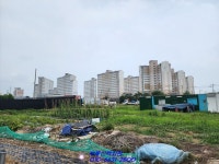 영암 삼호읍 원룸부지 주거지역이라 좋네요~(매물번호 2142) - 영암 - 부동산 백화점 영암 삼호읍 원룸부지 주거지역이라 좋네요~(매물번호 2142)