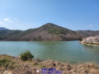 강진 토지가 청정하고 깨끗한 지역의 임야랍니다~ - 기타지역 - 부동산 백화점 강진 토지가 청정하고 깨끗한 지역의 임야랍니다~