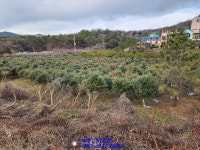 충남 대형 돈사매매 당진에 있답니다~(매물번호 2313) - 기타부동산 - 부동산 백화점 충남 대형 돈사매매 당진에 있답니다~(매물번호 2313)