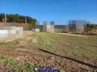 목포 고하도땅매매 대로변에 있답니다~(매물번호 2255) - 목포 - 부동산 백화점 목포 고하도땅매매 대로변에 있답니다~(매물번호 2255)