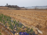 경북 대형돈사 인, 허가부지매매 민원 해결 완료 했답니다~(매물번호 2374) - 기타부동산 - 부동산 백화점 경북 대형돈사 인, 허가부지매매... 