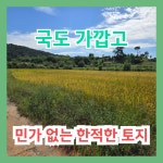 영암 신북면 토지매매 국도변과 가깝답니다~(매물번호 2812) - 영암 - 부동산 백화점 영암 신북면 토지매매 국도변과 가깝답니다~(매물번호 2812)