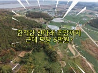 해남군 부동산 토지 문내면에 있답니다~(매물번호 2872) - 해남 - 부동산 백화점 해남군 부동산 토지 문내면에 있답니다~(매물번호 2872)