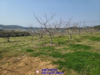 해남군 문내면 토지매매 - 해남 - 부동산 백화점 해남군 문내면 토지매매