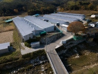 경남 양계장매매 산란계 15만수 규모랍니다~(매물번호 3051) - 기타부동산 - 부동산 백화점 경남 양계장매매 산란계 15만수 규모랍니다... 