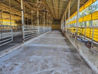 전남 축사매매 아담해서 좋답니다~(매물번호 2472) - 기타부동산 - 부동산 백화점 전남 축사매매 아담해서 좋답니다~(매물번호 2472)