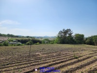 해남 계획관리지역 토지가 개간된 임야랍니다~(매물번호 2099) - 해남 - 부동산 백화점 해남 계획관리지역 토지가 개간된 임야랍니다... 