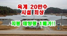 전북 대형 양계장, 태양광 1메가와 육계 20만수 사육 규모의 투자 기회(매물번호 2788) - 기타부동산 - 부동산 백화점 전북 대형... 
