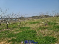 해남군 문내면 토지매매 - 해남 - 부동산 백화점 해남군 문내면 토지매매