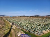 전남 무안군 육계농장매매 태양광발전소 설비도 갖췄답니다~(매물번호 2339) - 기타부동산 - 부동산 백화점 전남 무안군 육계농장매매... 