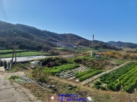 진도 오리농장 매매가 규모가 적당해서 좋네요~ - 기타부동산 - 부동산 백화점 진도 오리농장 매매가 규모가 적당해서 좋네요~