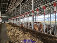 영암 군서면 축사매매 대로변이고 태양광발전소도 설치 했답니다... 군서면 축사매매 대로변이고 태양광발전소도 설치 했답니다~(매물번호... 