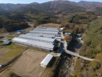 경남 양계장매매 산란계 15만수 규모랍니다~(매물번호 3051) - 기타부동산 - 부동산 백화점 경남 양계장매매 산란계 15만수 규모랍니다... 