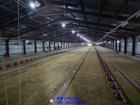 나주시 육계 농장 매매 규모가 적당해서 좋네요~(매물번호 2437)... 부동산 백화점 나주시 육계 농장 매매 규모가 적당해서 좋네요~(매물번호 2437)