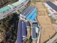 함평 양계장매매 태양광발전소도 있답니다~(매물번호 2873) - 기타부동산 - 부동산 백화점 함평 양계장매매 태양광발전소도 있답니다... 