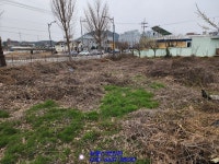 영암군 삼호읍 토지매매 원룸이나 상가부지로 최고네요~(매물번호 2335) - 영암 - 부동산 백화점 영암군 삼호읍 토지매매 원룸이나 상가부지로... 