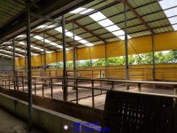 경남 거창 대형 양돈장 허가부지 조건부 계약이랍니다~(매물번호 2349)... 경남 거창 대형 양돈장 허가부지 조건부 계약이랍니다~(매물번호... 